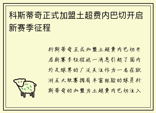 科斯蒂奇正式加盟土超费内巴切开启新赛季征程