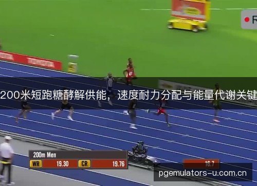 200米短跑糖酵解供能，速度耐力分配与能量代谢关键
